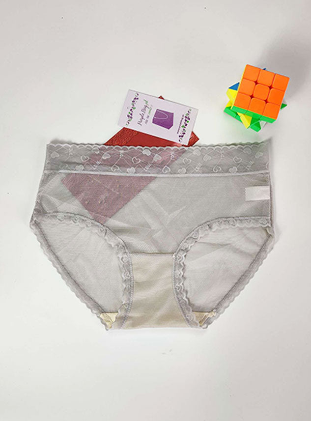 Transparent Soft Net Panty