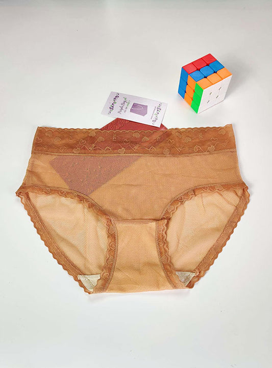 Transparent Soft Net Panty