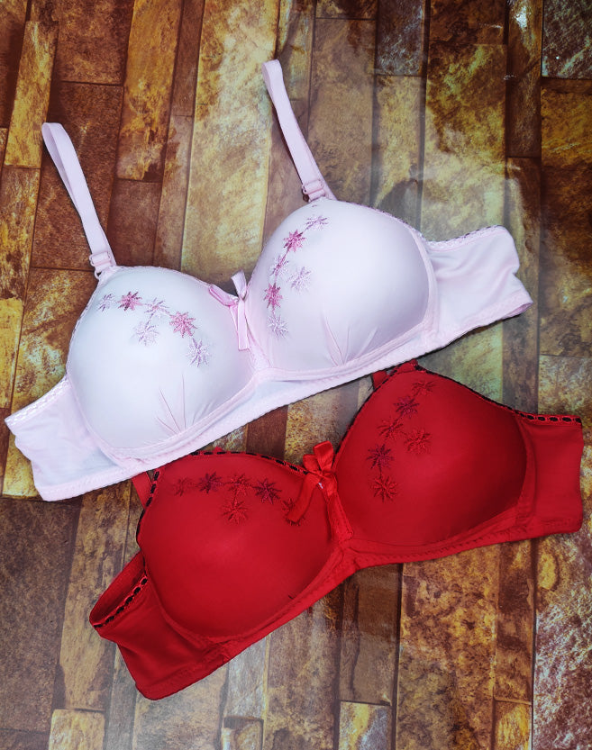 Pack Of 2 Fancy Embroidery Thin Pad bra