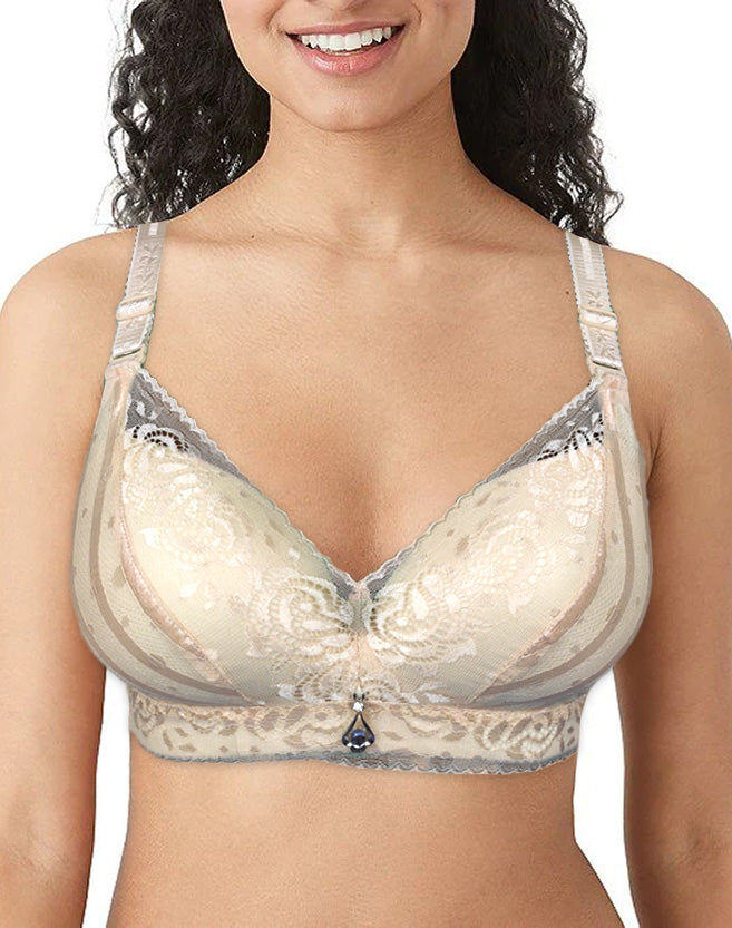 Full Coverage Wired Fancy Net Lace Pushup Padded Bra