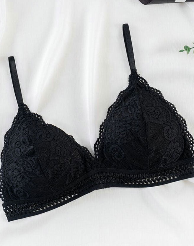 nwt bra